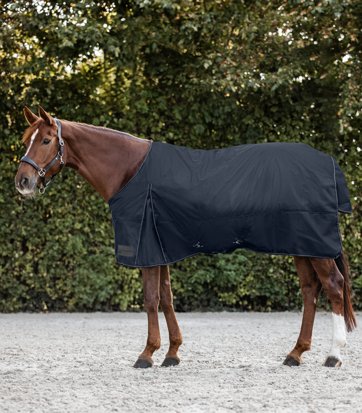 NORDIC Turnout Rug, 100 g night blue