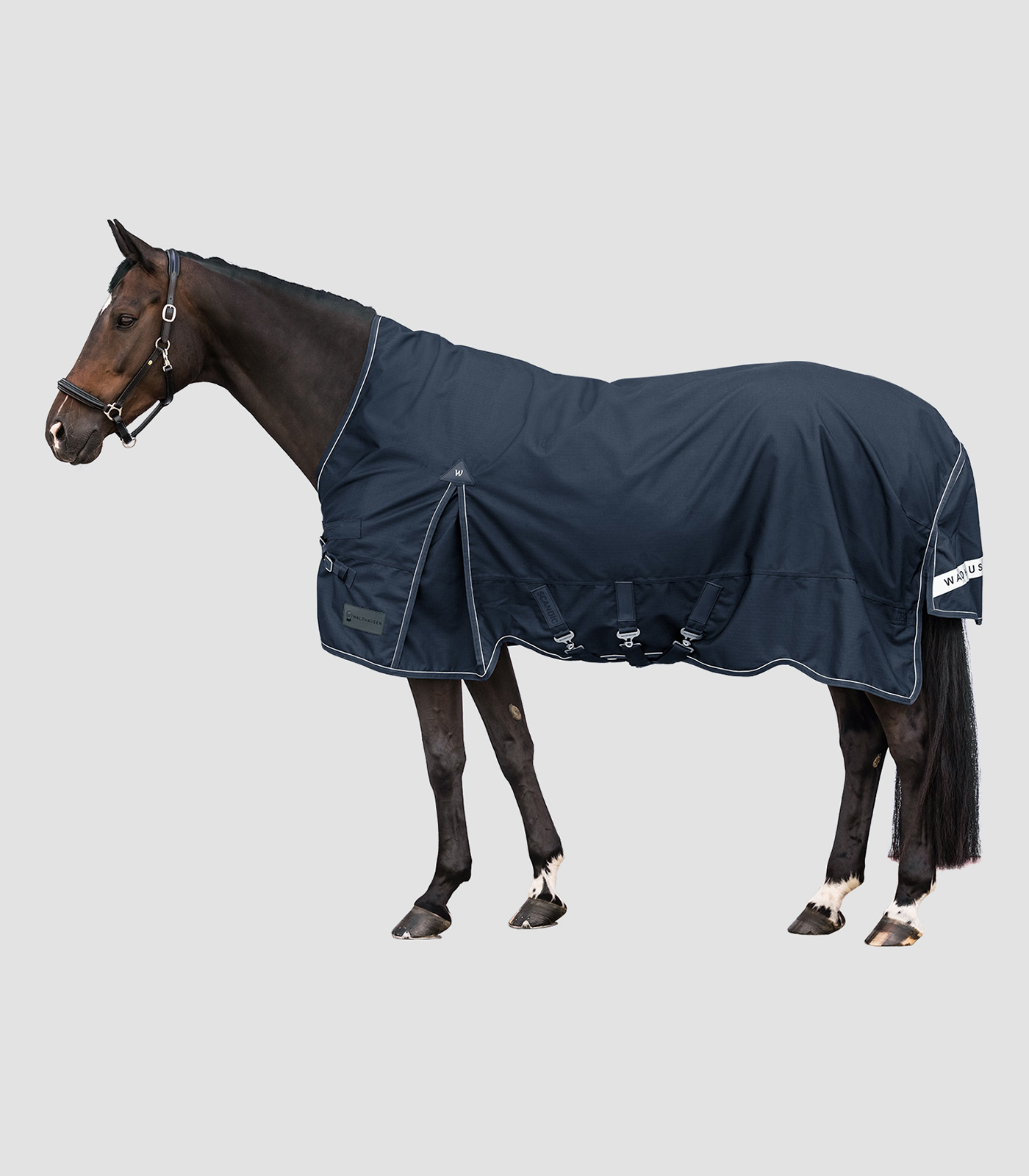 SCANDIC Turnout Rug, High Neck, 100 g night blue