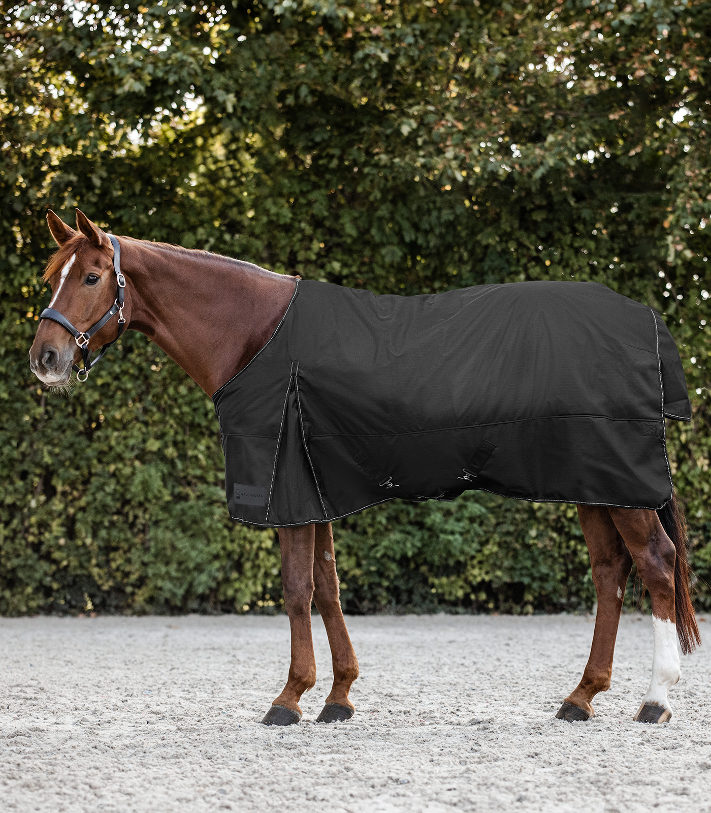 NORDIC Turnout Rug, 200 g black