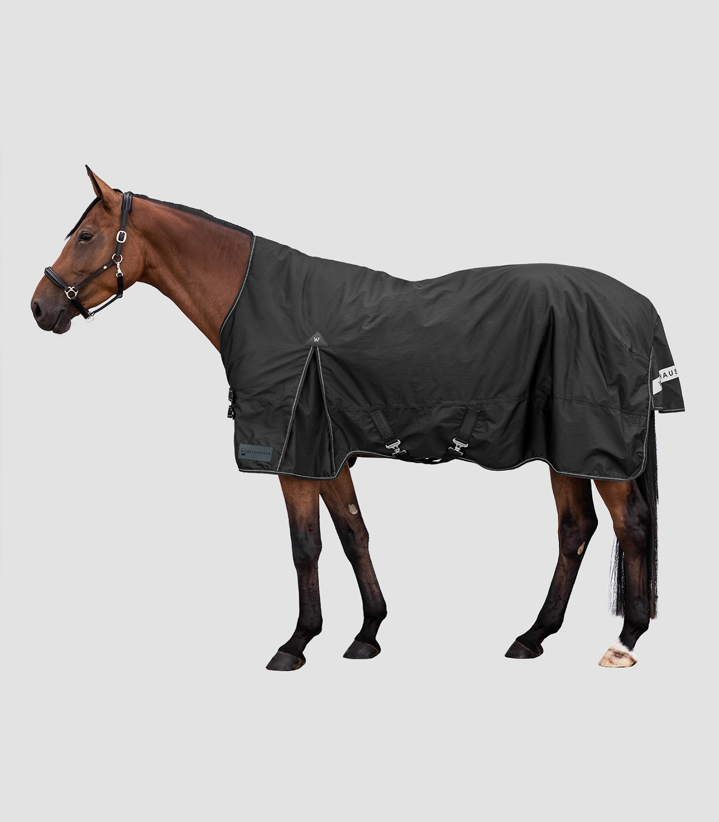 ARCTIC Turnout Rug, High Neck, Light black