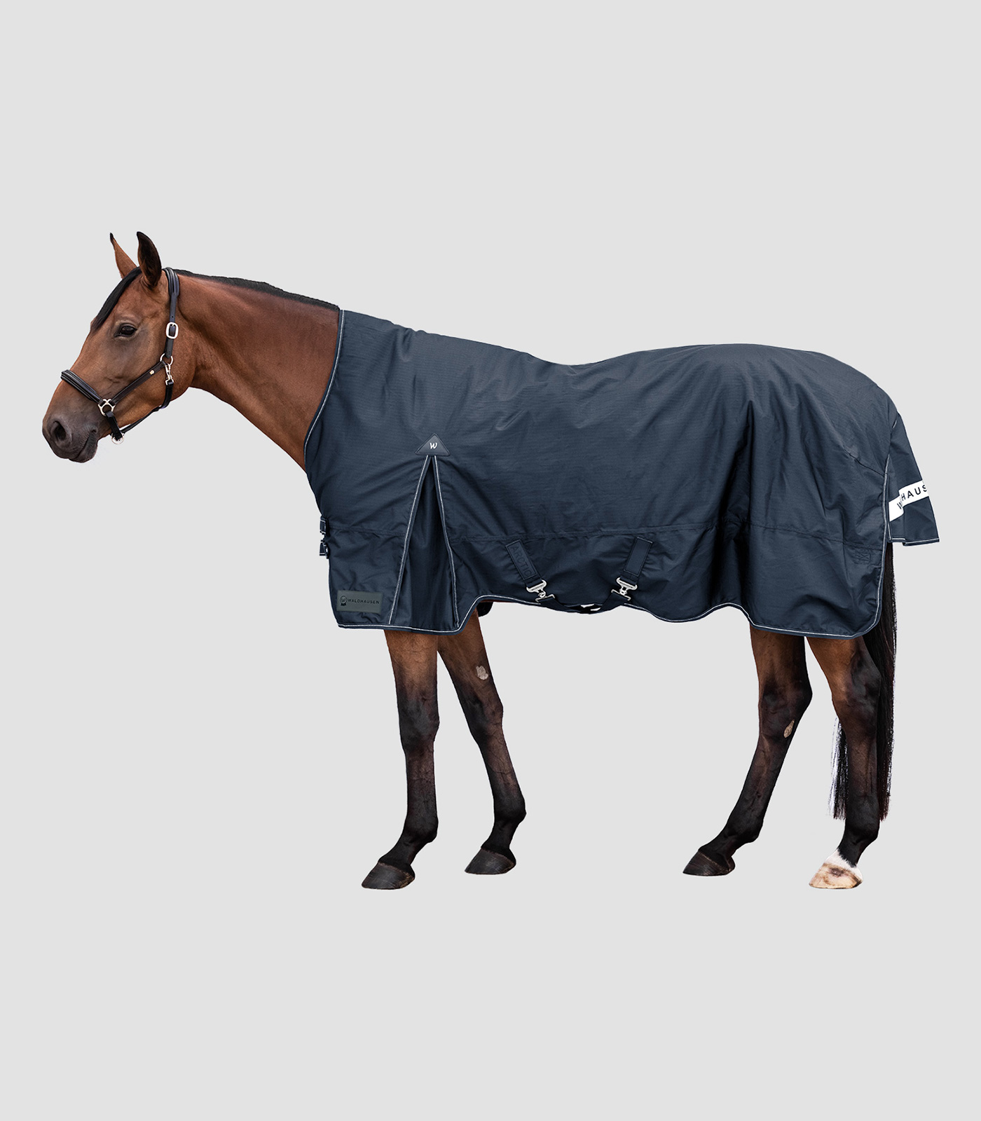 ARCTIC Turnout Rug, High Neck, 100 g night blue