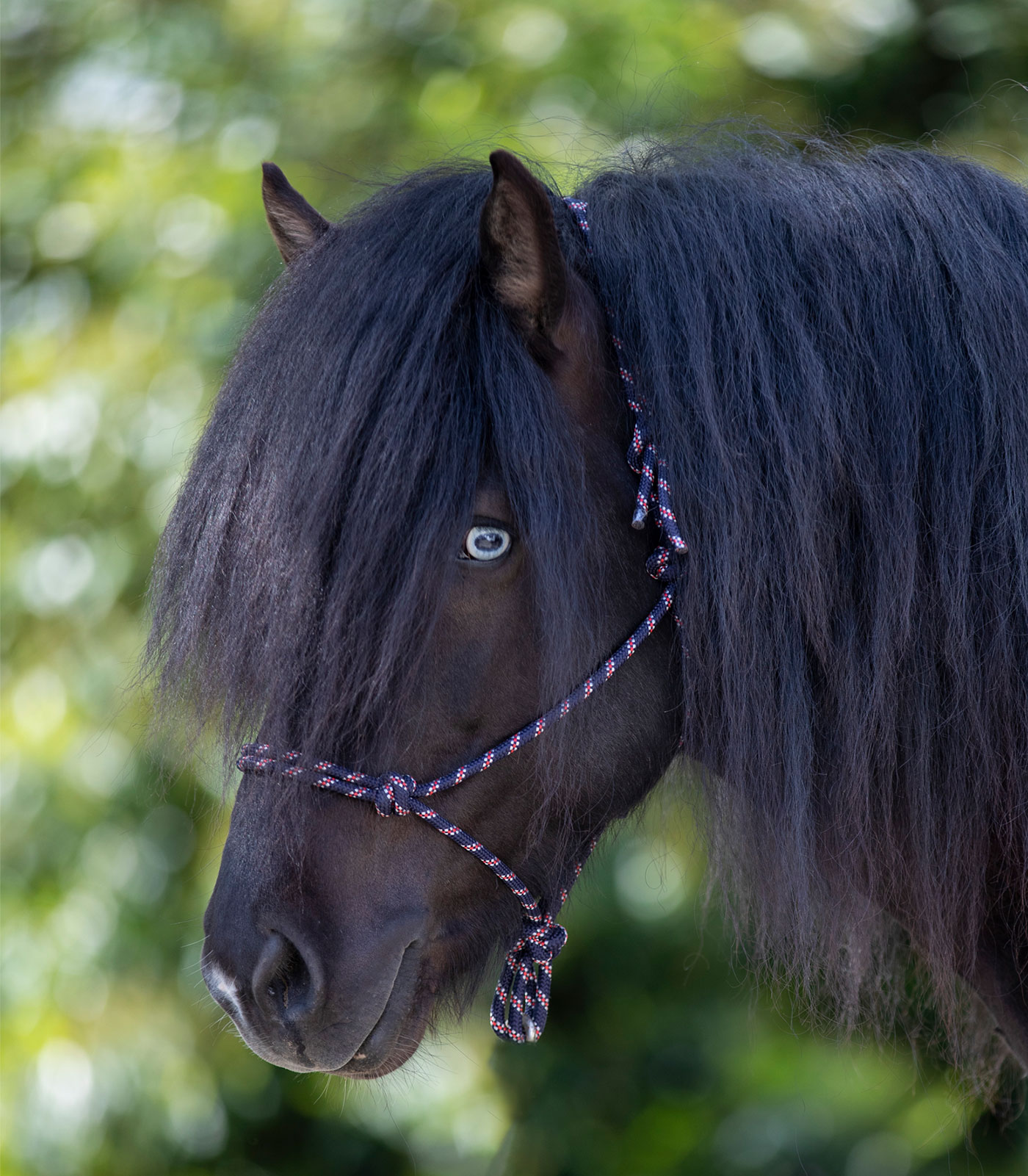 Knotted Halter