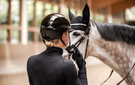 Careers in the equestrian sports