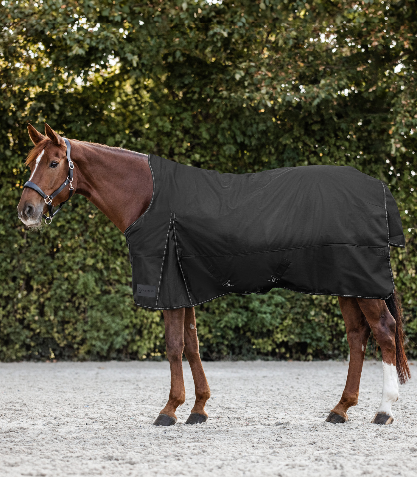 NORDIC Turnout Rug, High Neck, Light black