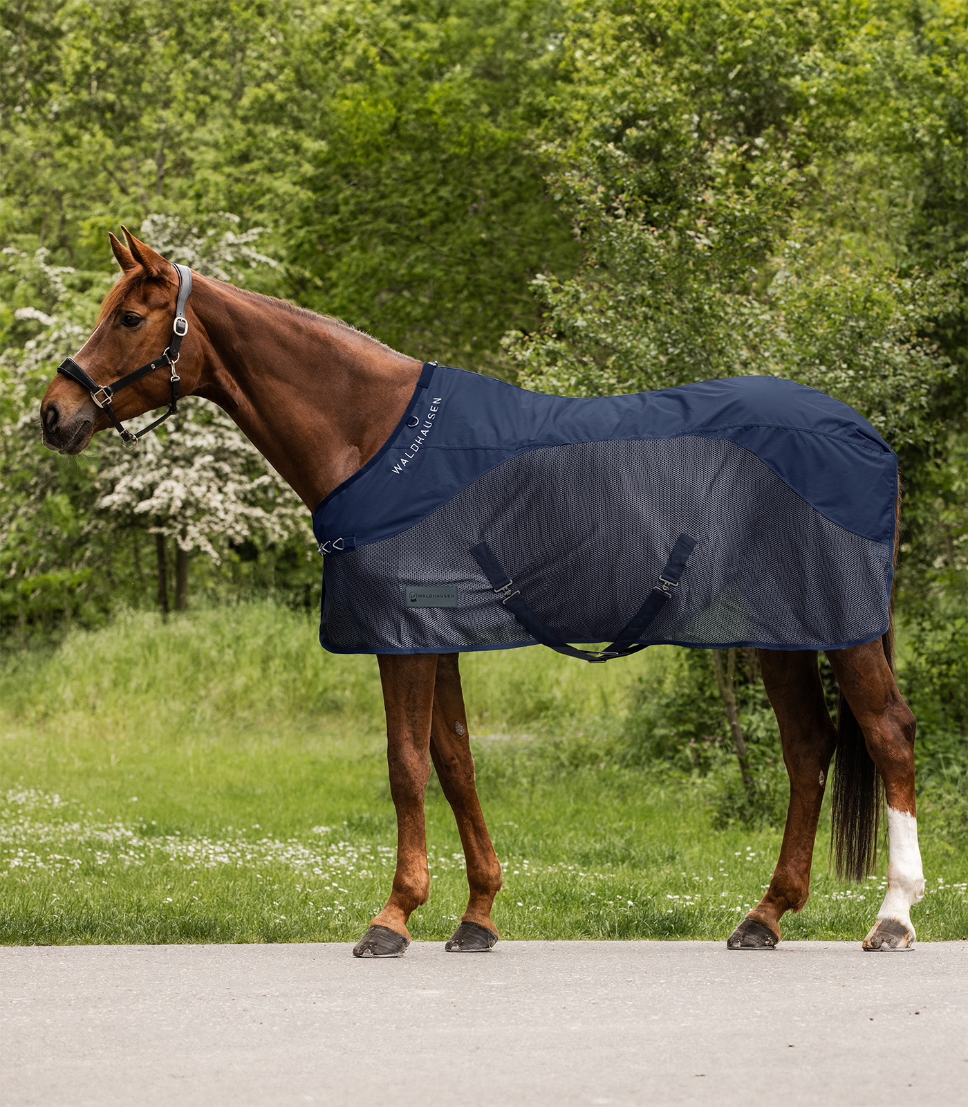 COMFORT Rainsheet-Fly Rug night blue