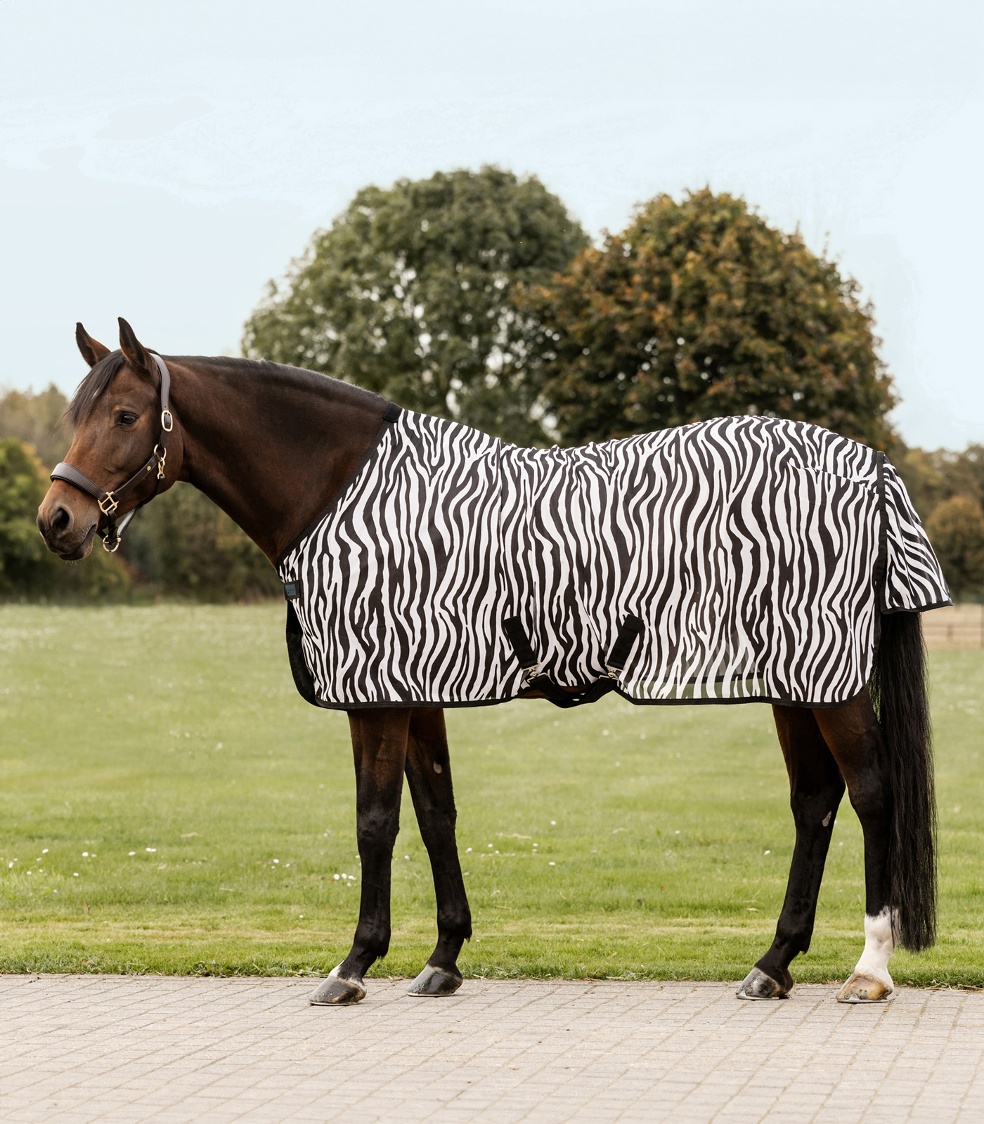 Couverture anti-mouches Zebra avec sangles croisées noir/blanc