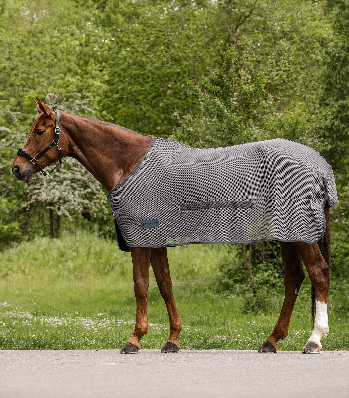 COMFORT Fly Rug, with belly flap grey