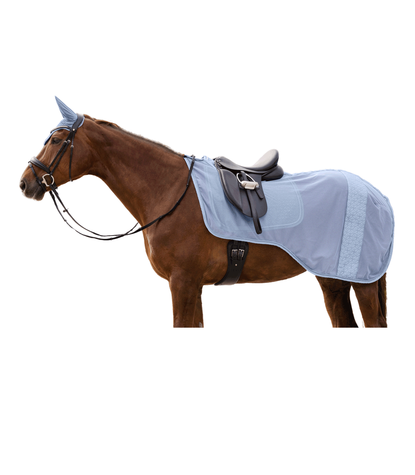 Rom fly riding blanket pastel blue