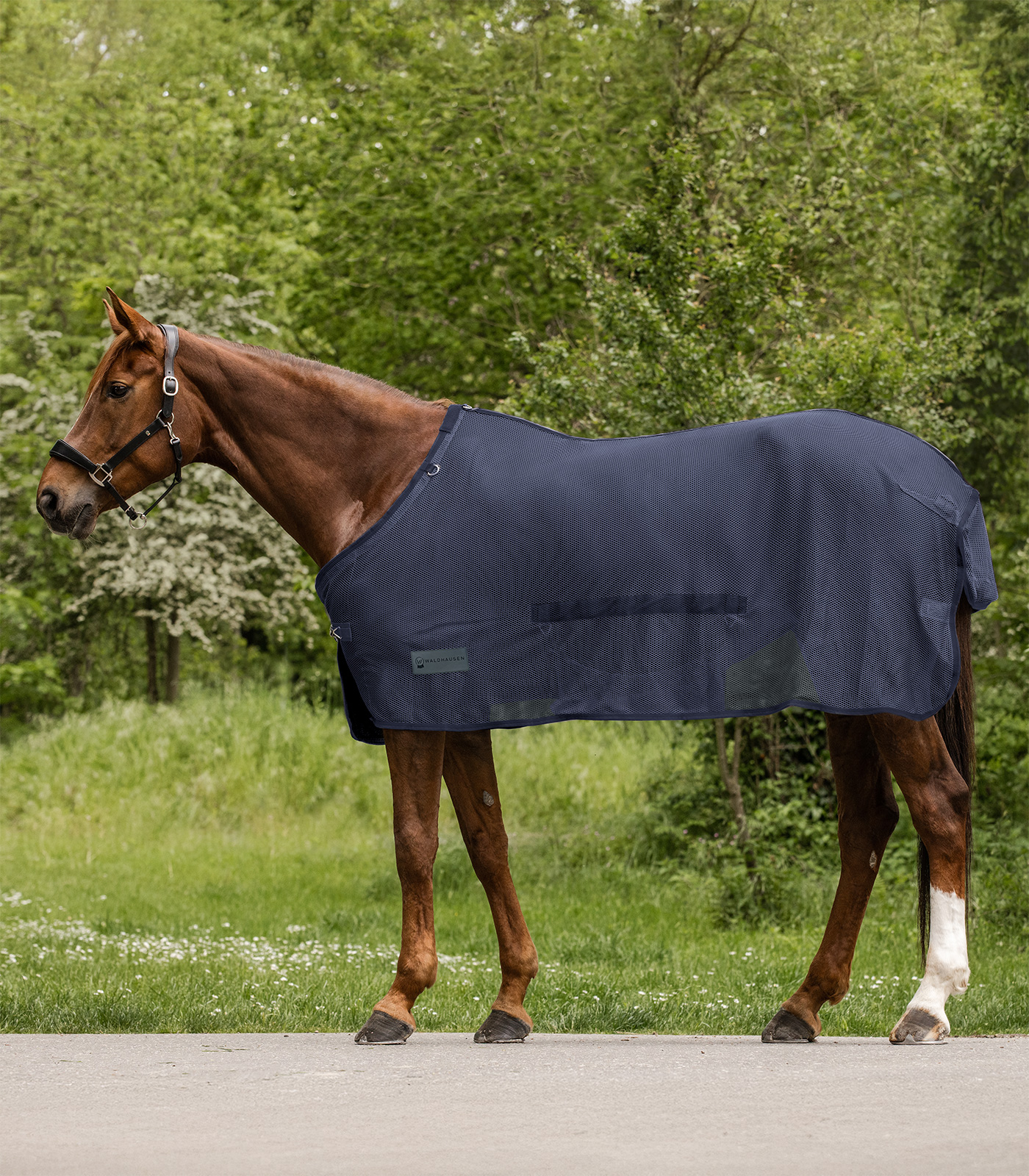 COMFORT Fly Rug, with belly flap