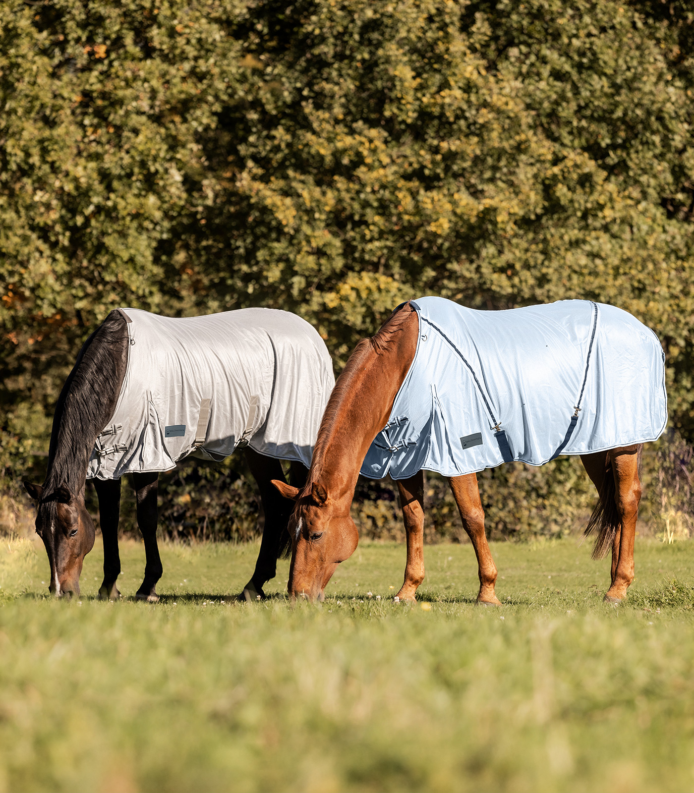 PROTECT fly rug