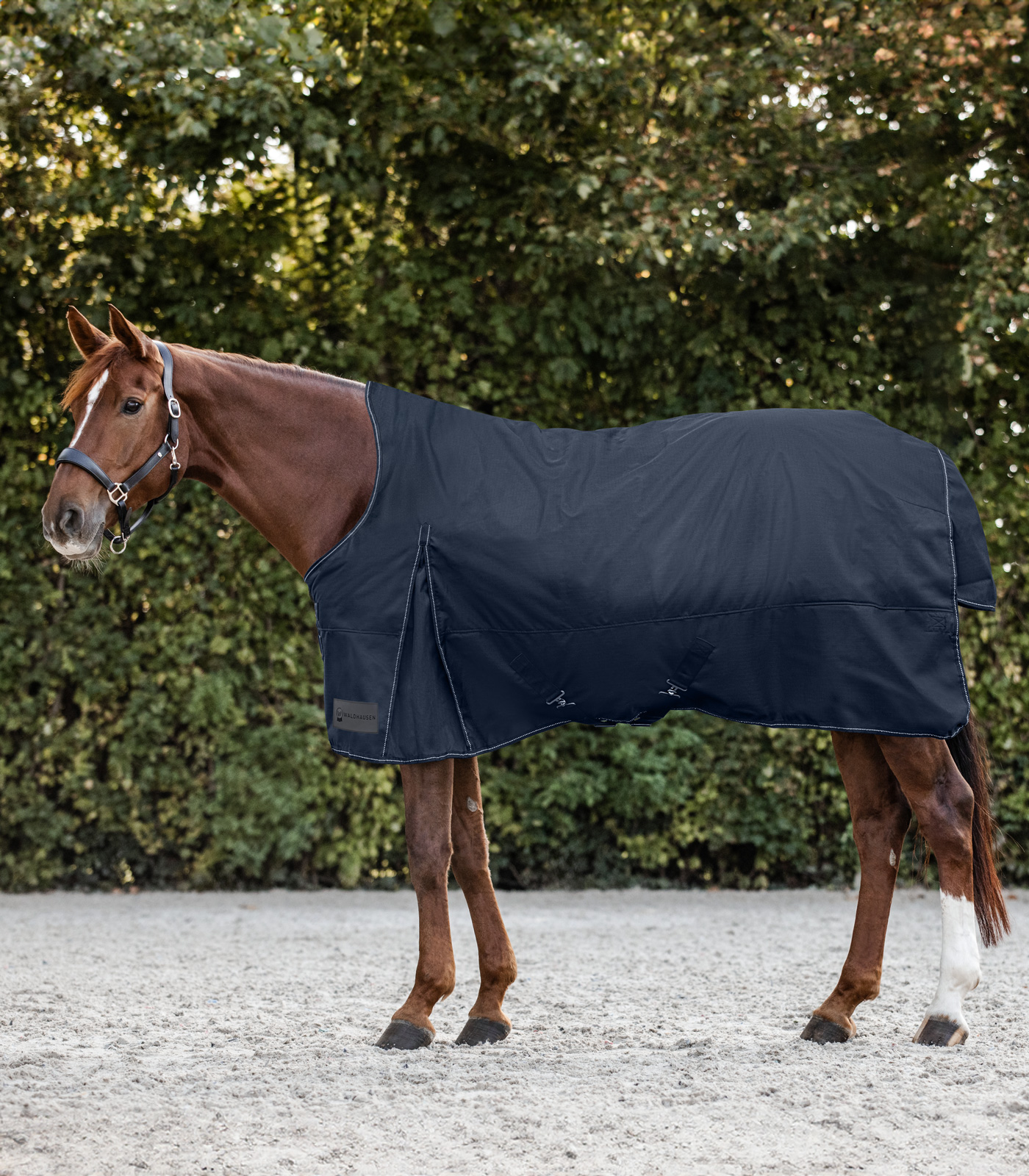 NORDIC Turnout Rug, High Neck, Light night blue