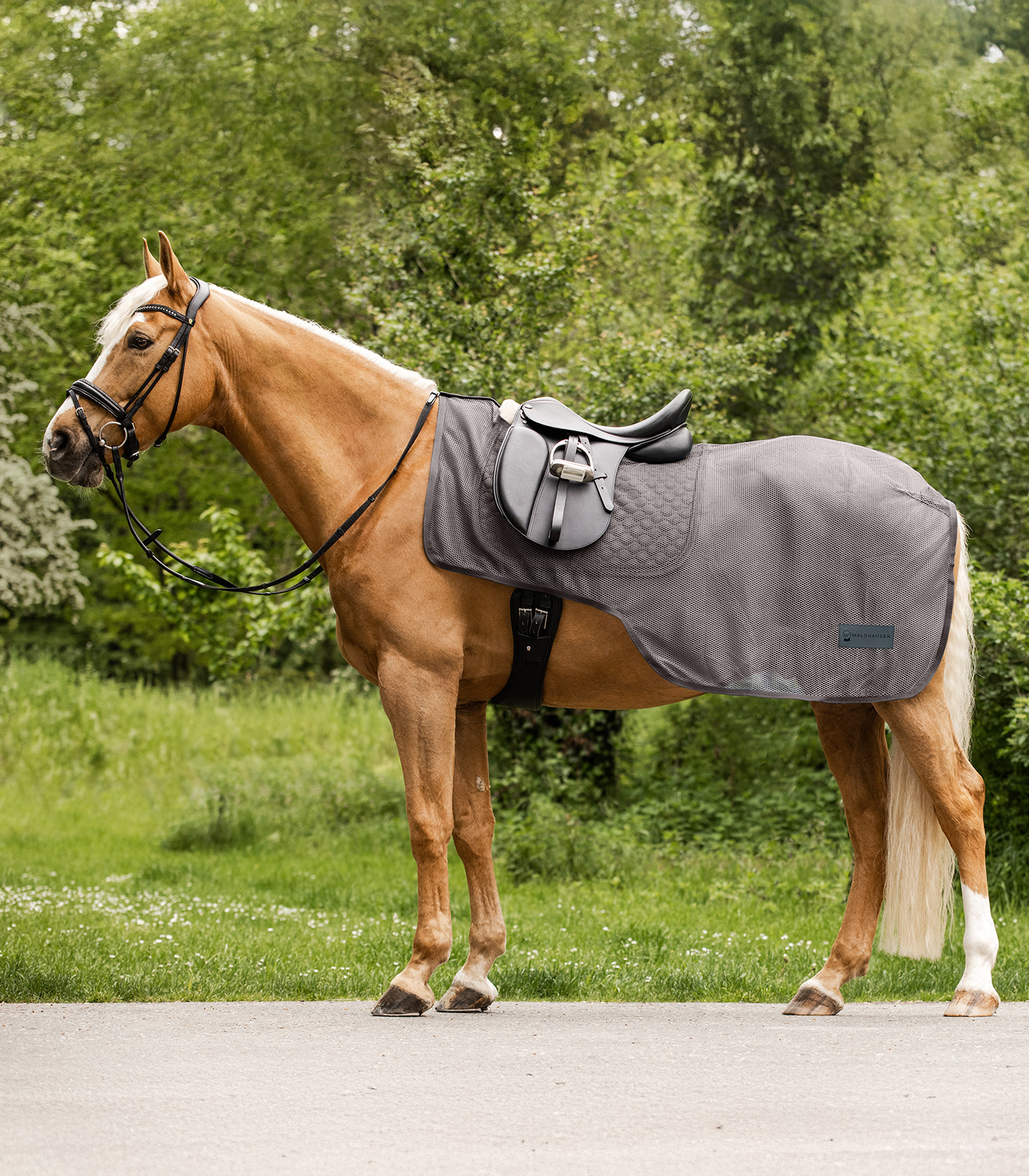 COMFORT Fliegen-Ausreitdecke