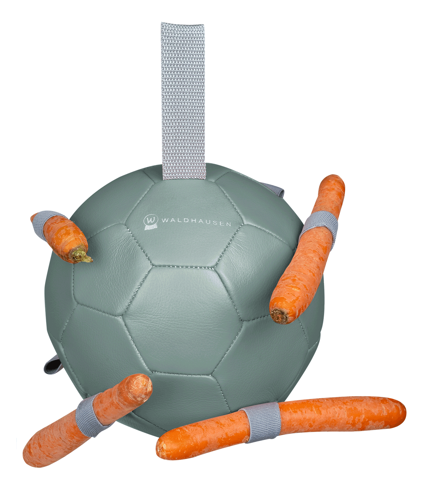 Karottenball mistel