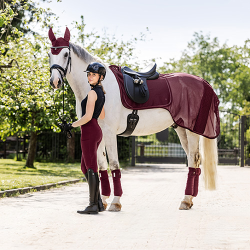 Serie Horsefashion Roma