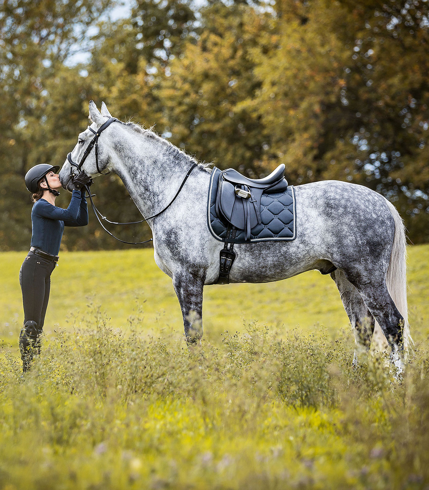 Premium Dressage Saddle, leather