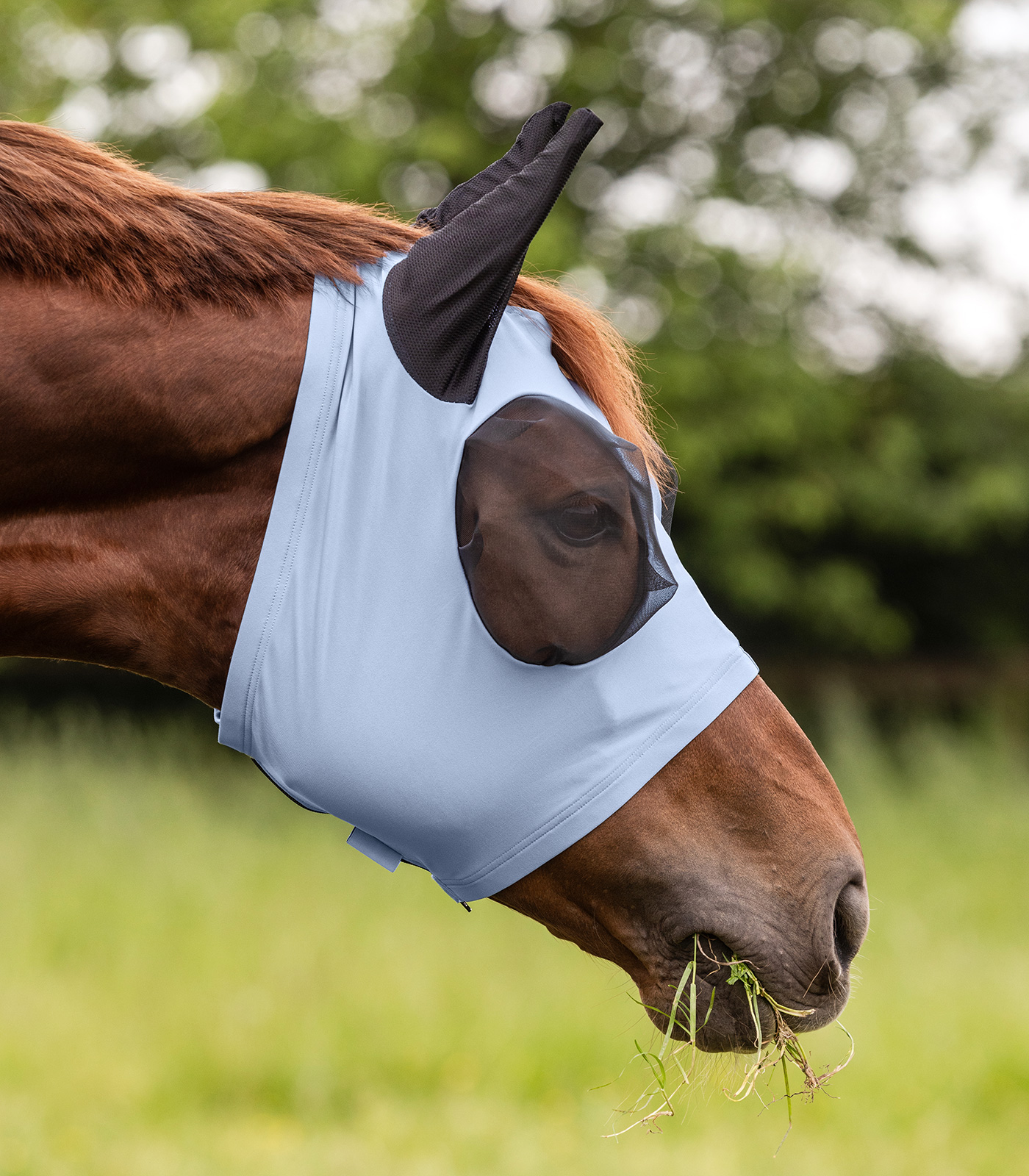 Puck fly mask pastel blue