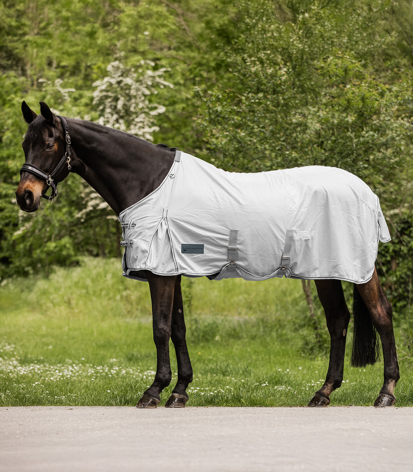 PROTECT fly rug