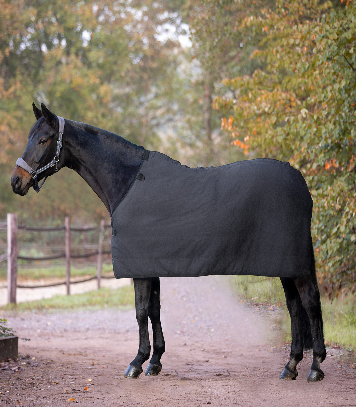 Fleece Underrug | black | 155 cm | 8030901-155