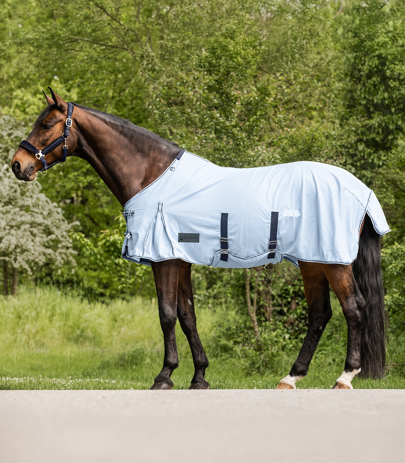 PROTECT fly rug