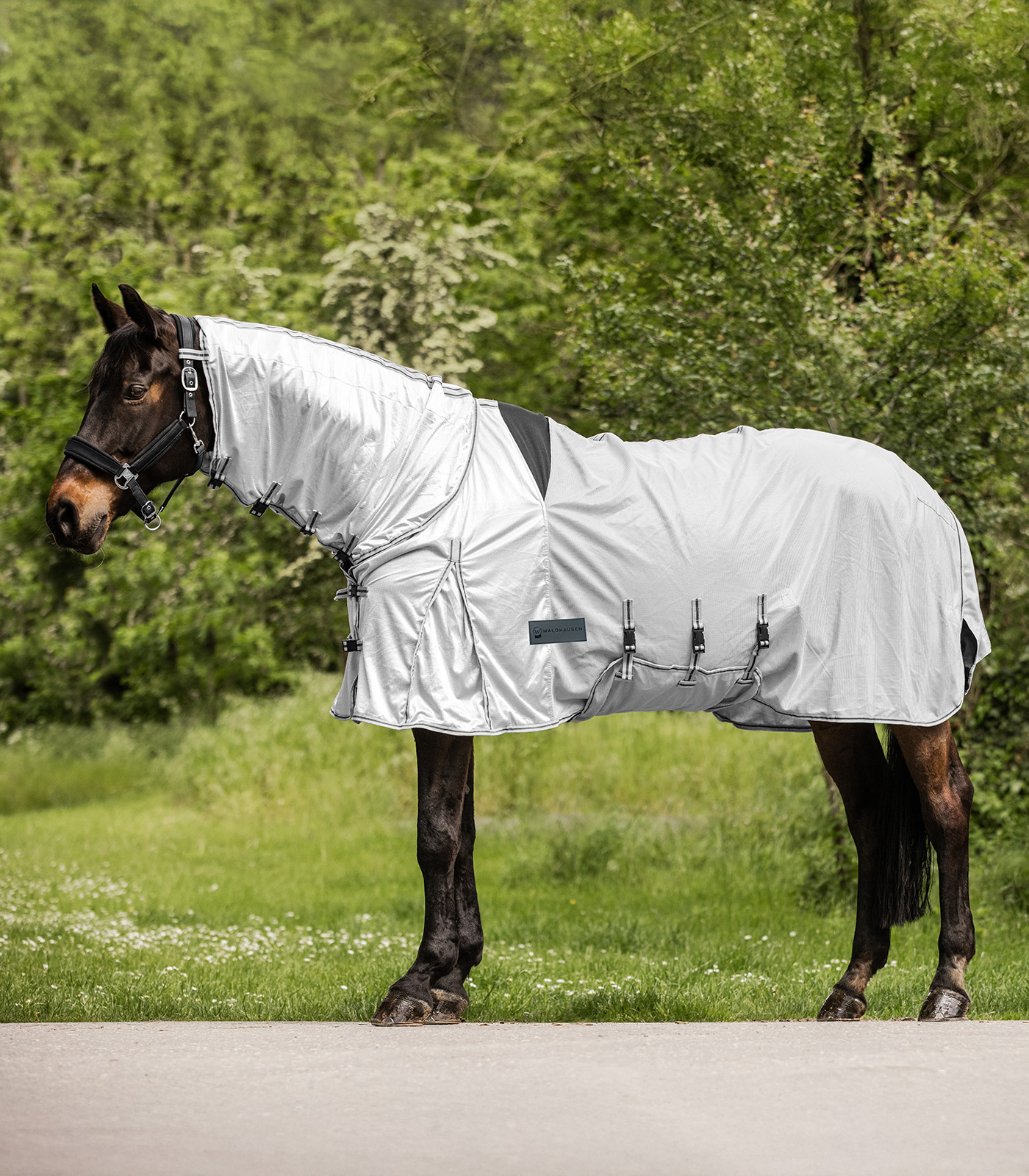 PROTECT Eczema-Fly Rug silver-grey/grey