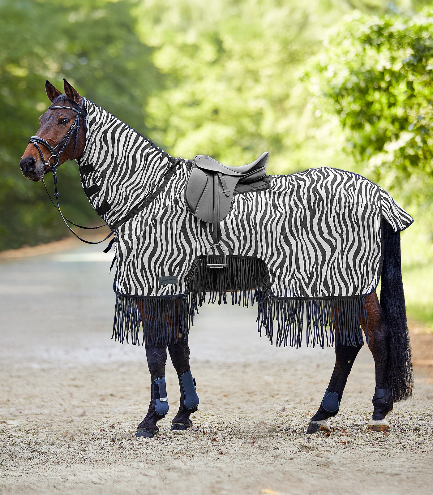 Zebra exercise fly sheet with fringe black/white