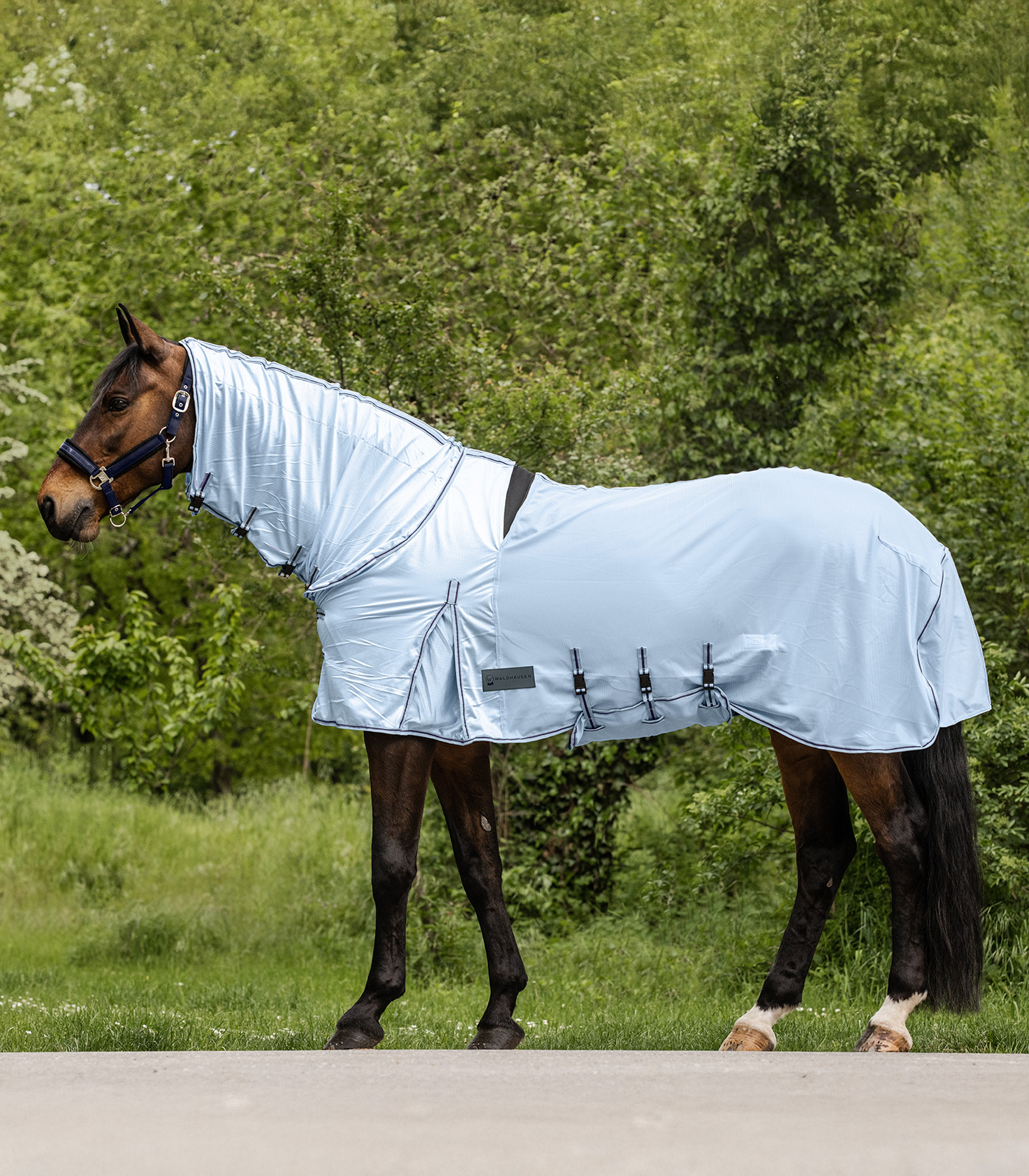 PROTECT Eczema-Fly Rug light blue/night blue