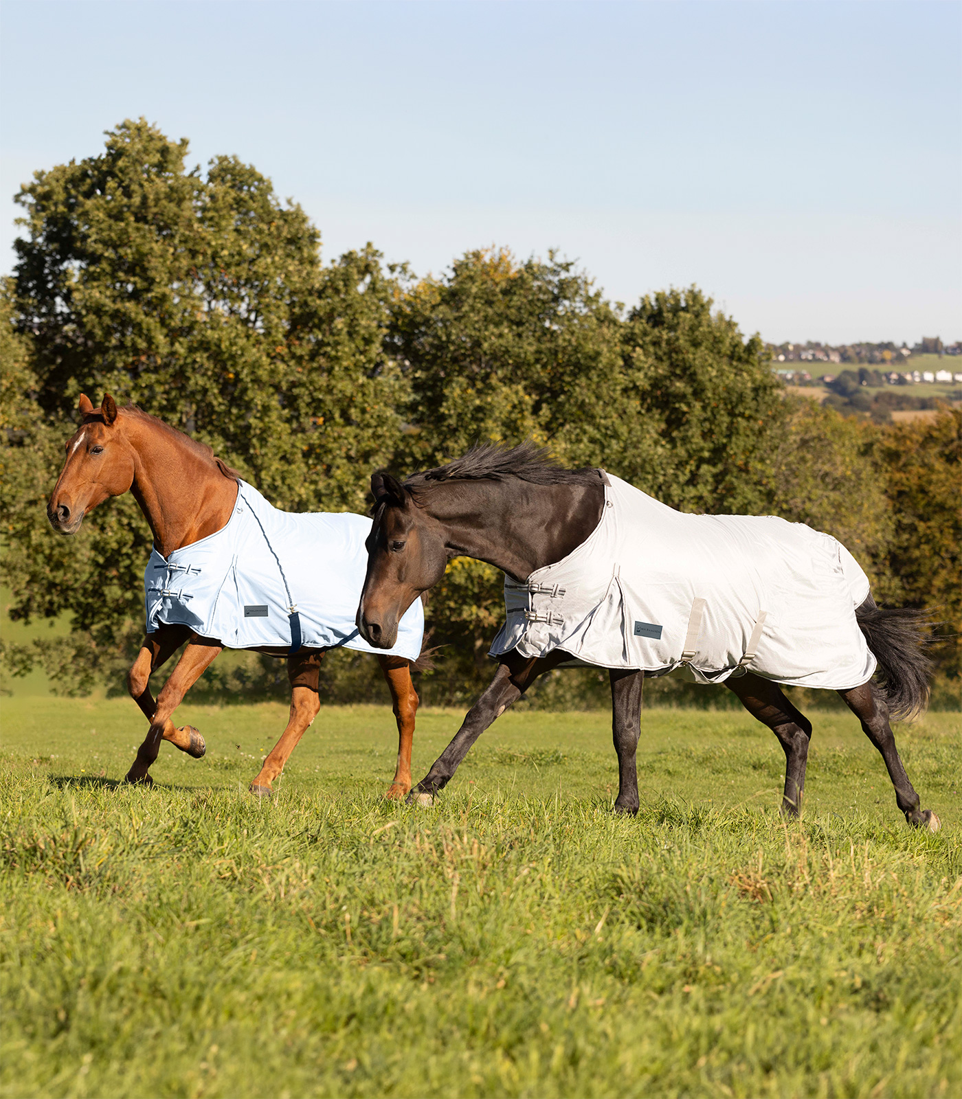 PROTECT fly rug