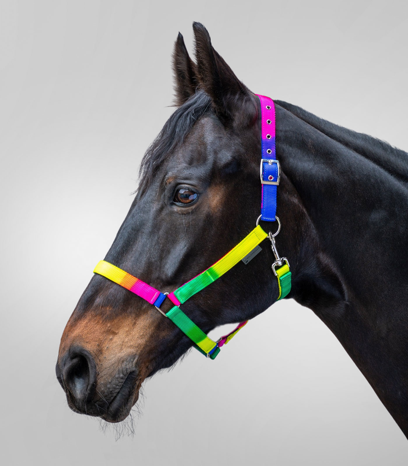 Rainbow coloured Halter