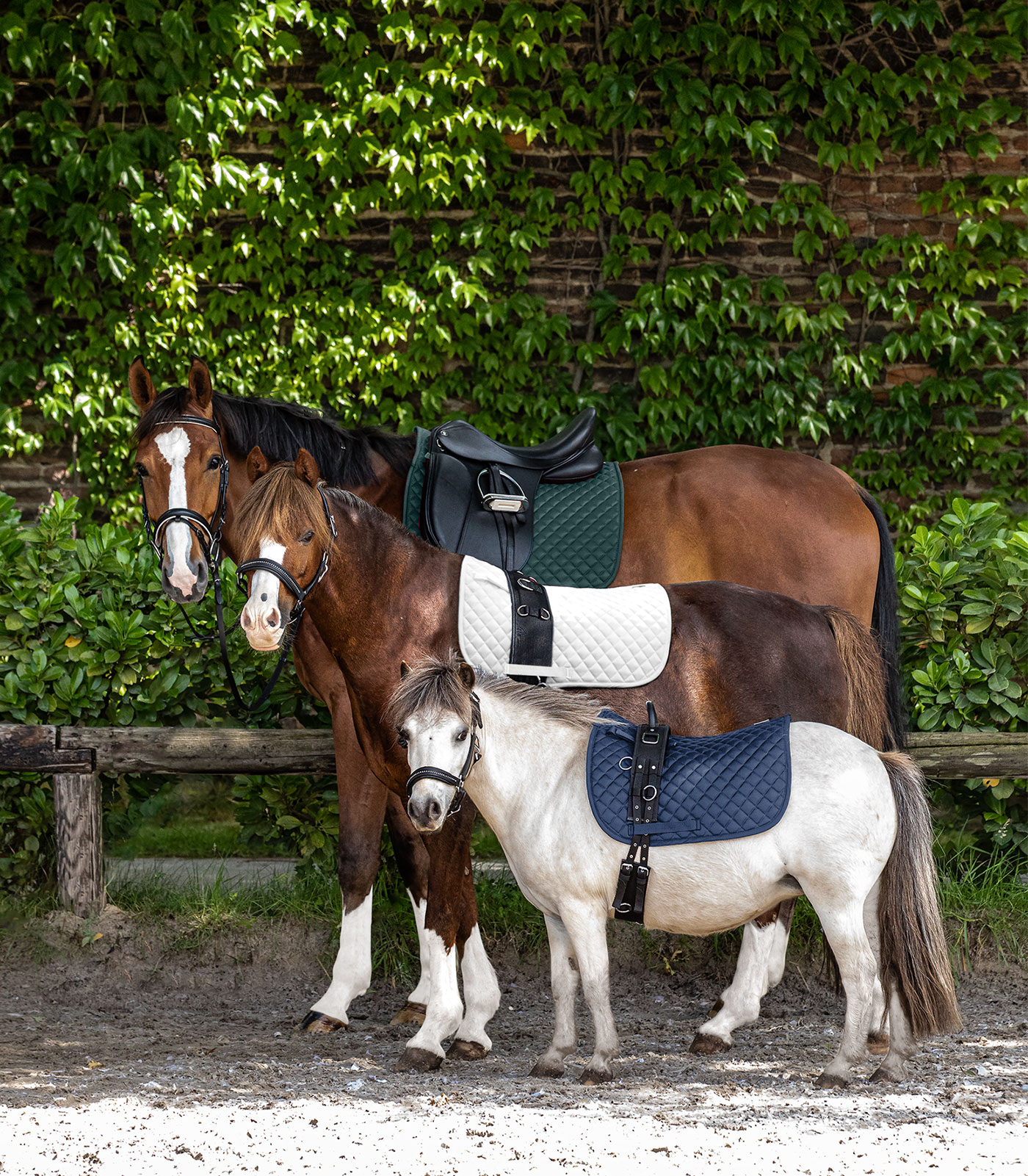 Felix Saddle Pad