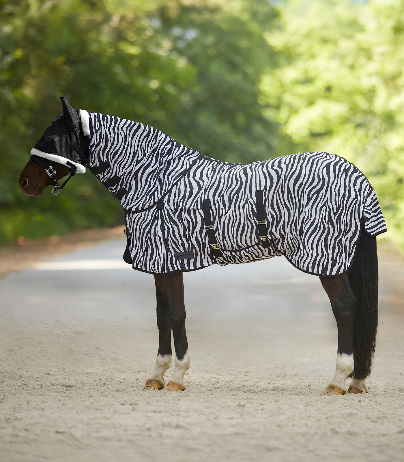 Chemise anti-mouches Zebra