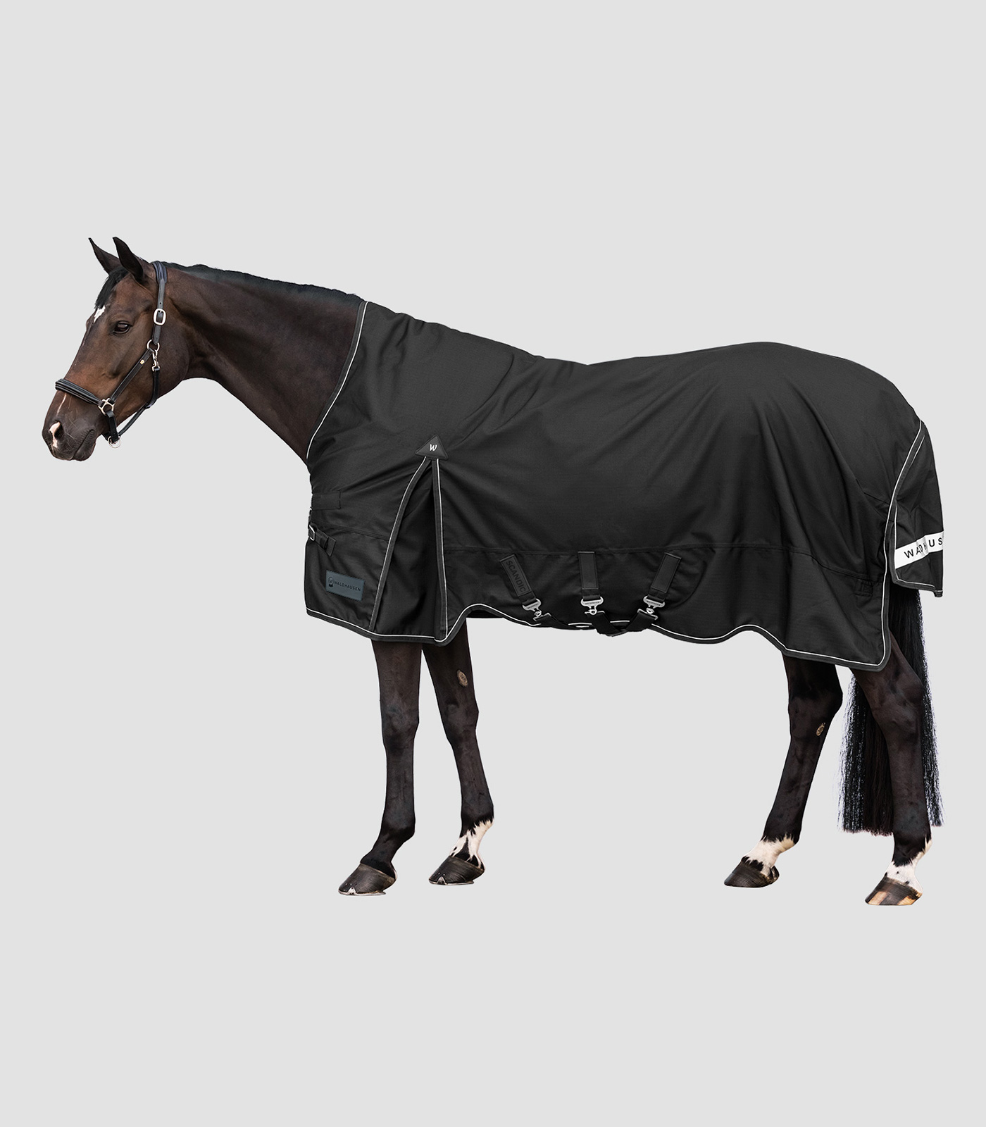 SCANDIC Turnout Rug, High Neck, 200 g black