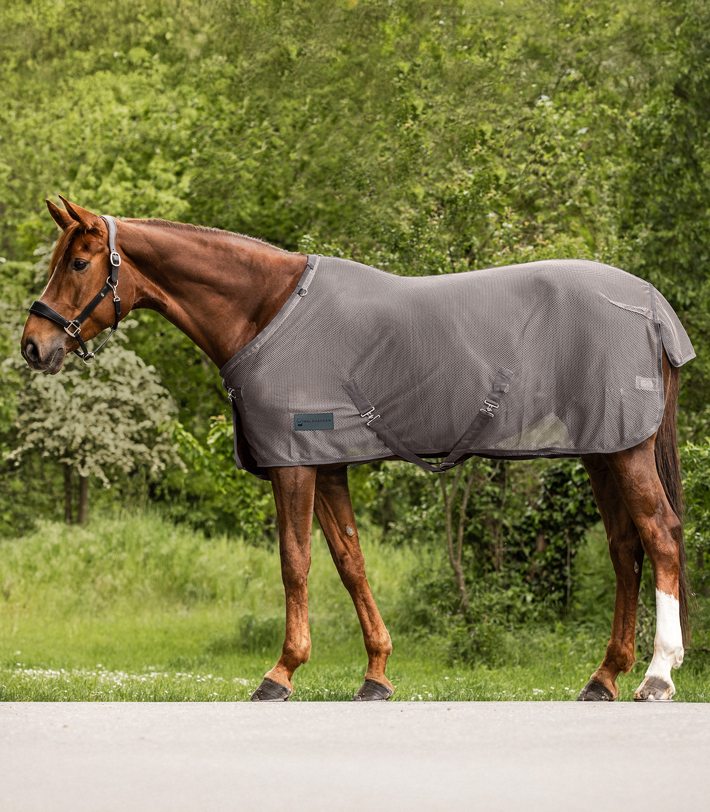 COMFORT Fly Rug with crossover straps grey