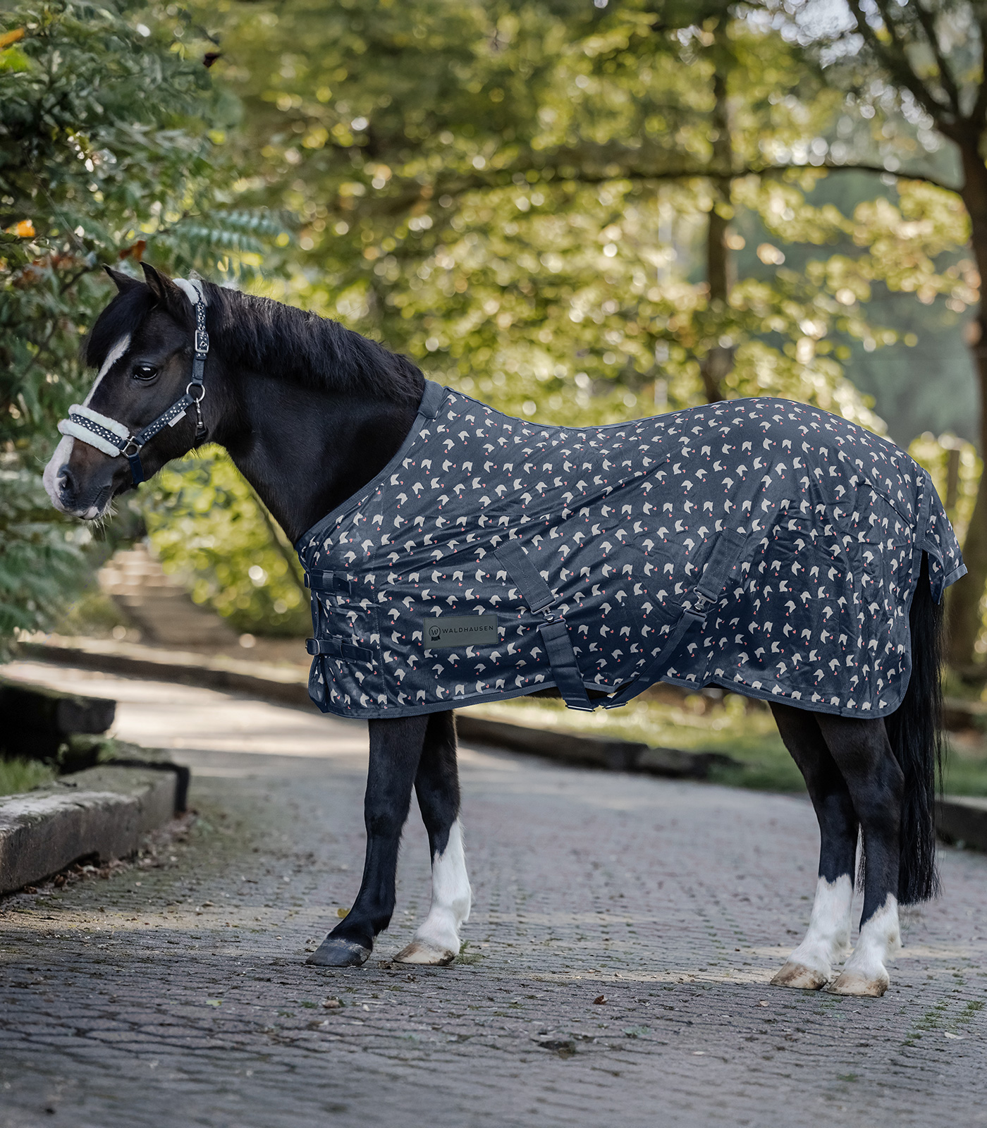 Lucky Fly Rug