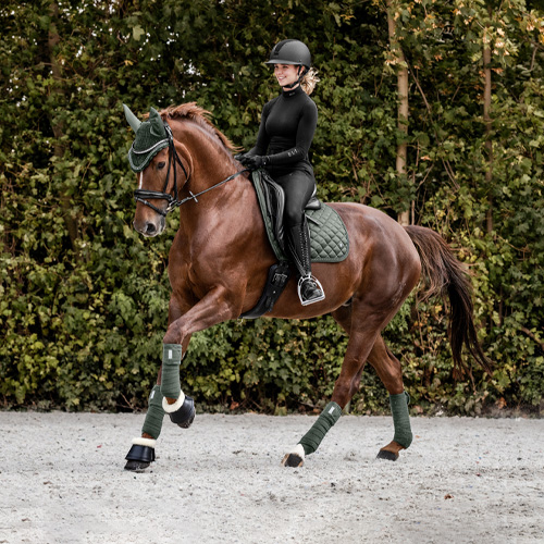 Herbst| Winter Horsefashion