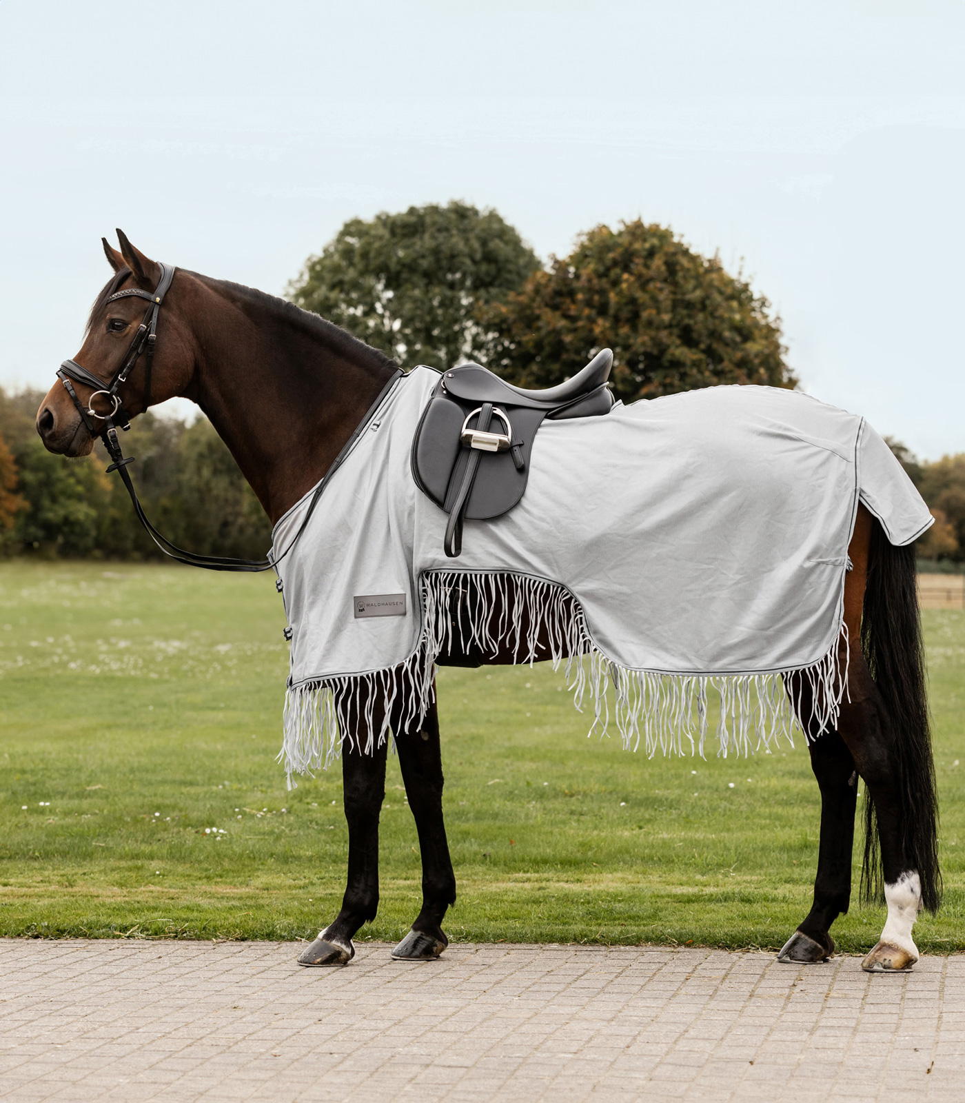 Protect fly blanket with fringes silver-grey/grey