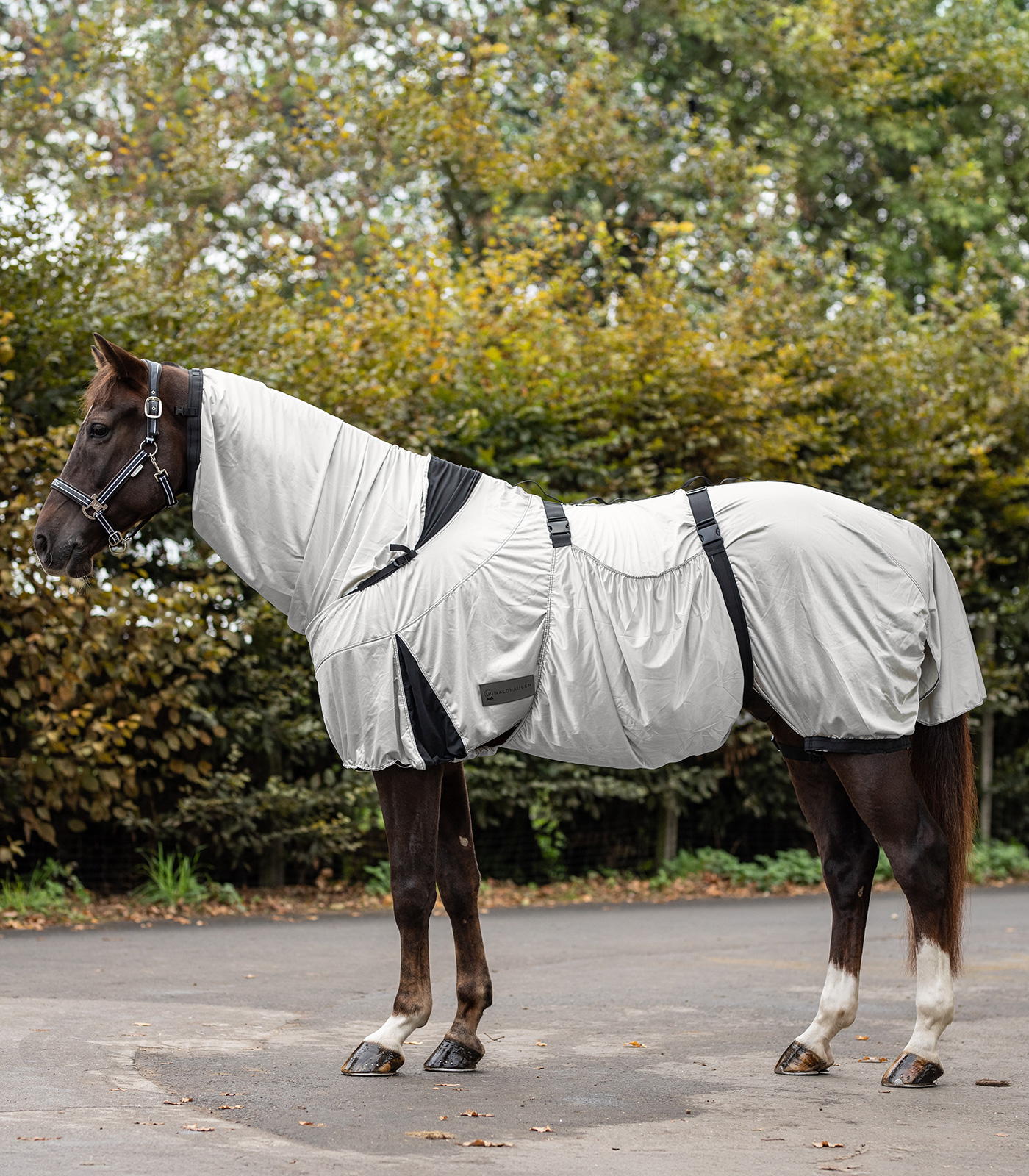 Premium eczema blanket silver grey