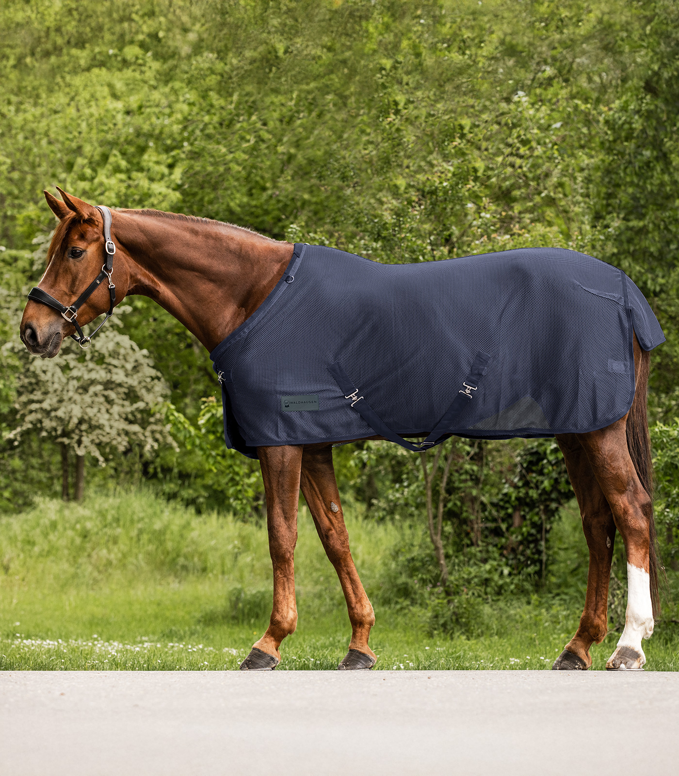 COMFORT Fly Rug with crossover straps