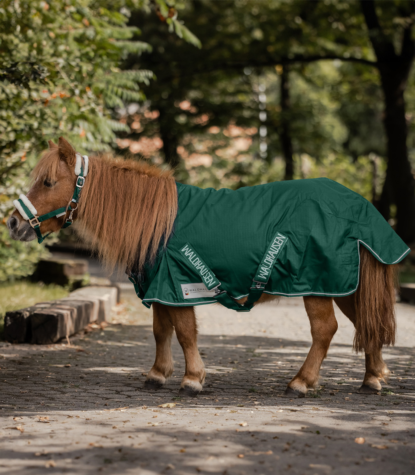 Comfort Shetty-Regendecke, 100g tannengrün