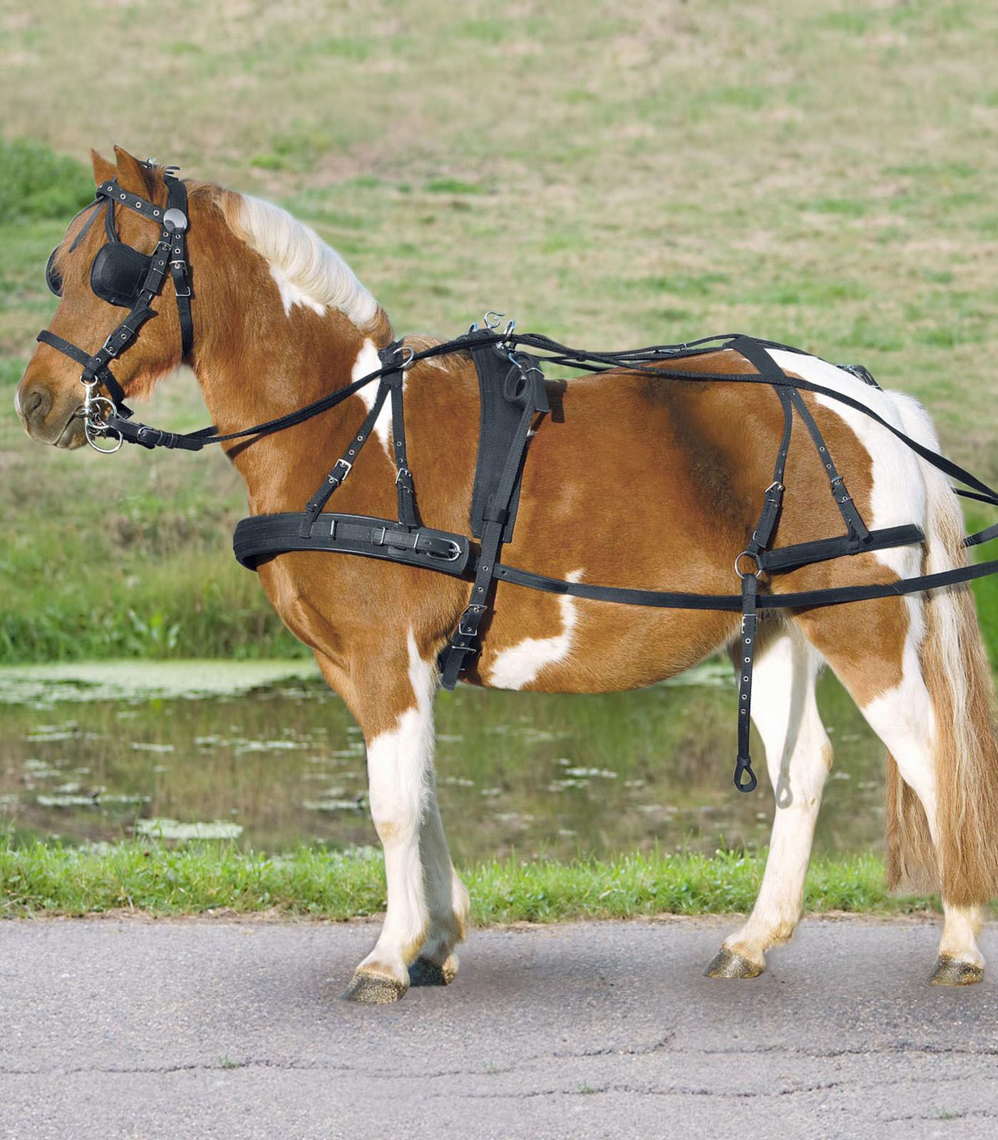 Single harness synthetic harness, pony and shetty | black | PON ...